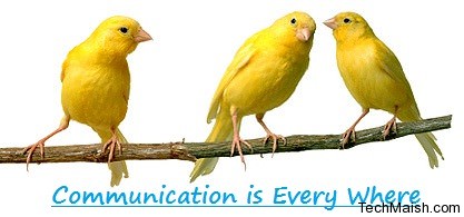 blogging communication tools