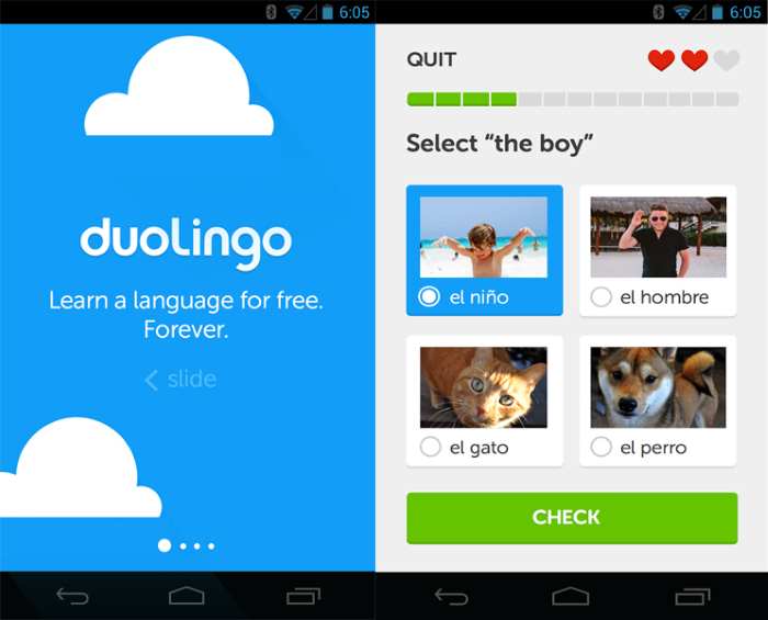 Duolingos Language Learning App